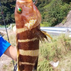 毎度です。なぶらには縁も距離も遠いです(笑)