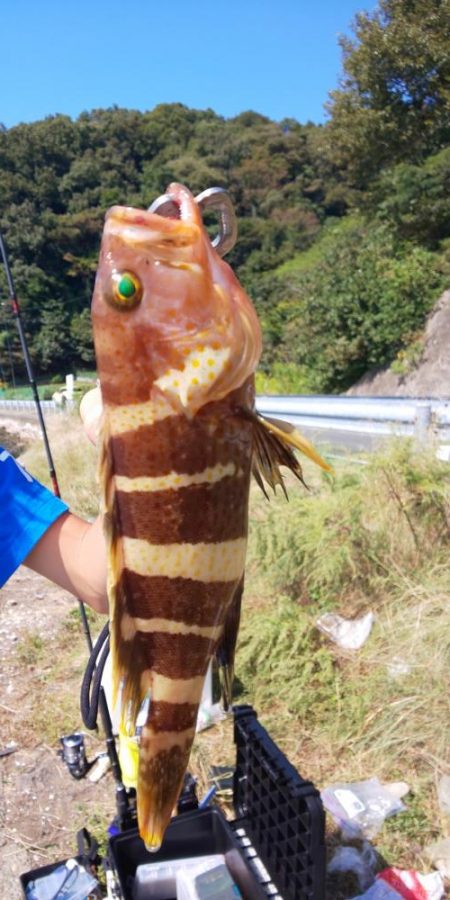 毎度です。なぶらには縁も距離も遠いです(笑)