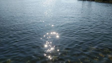 久々に狙って釣った