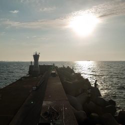 久しぶりの沖堤防