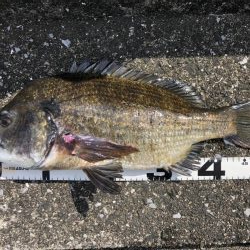 イチノ兄弟、釣果！