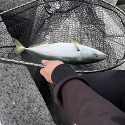 釣れてくれてありがとう