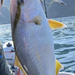 レンタルボートでタイラバ 、ジギング