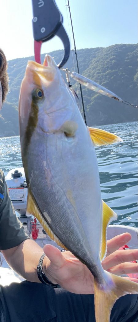 レンタルボートでタイラバ 、ジギング