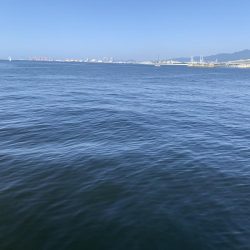 サバゲーが続く