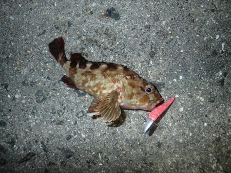 武庫一でライトワインド！