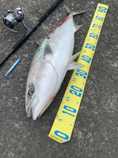 自己新記録　鰤ゲット