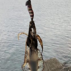 ひさびさの墨まみれ