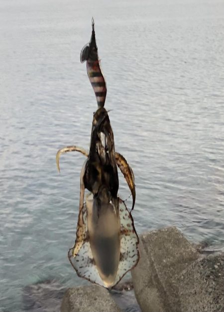 ひさびさの墨まみれ