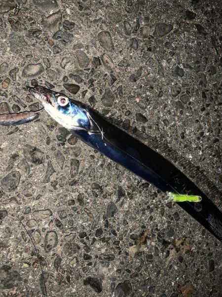 もう夜釣りは激寒です