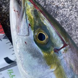 2021ライトゲーム第30戦