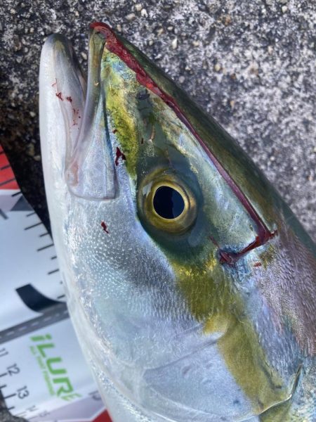 2021ライトゲーム第30戦