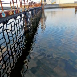 まだまだトップで