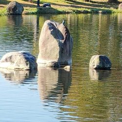 渋かったけど息子との久々の管釣りは楽しかった！