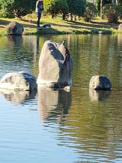 渋かったけど息子との久々の管釣りは楽しかっ…