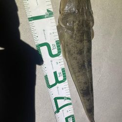 誰もいない堤防にて