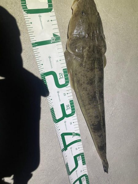 誰もいない堤防にて