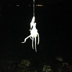 狙い通りの釣果！