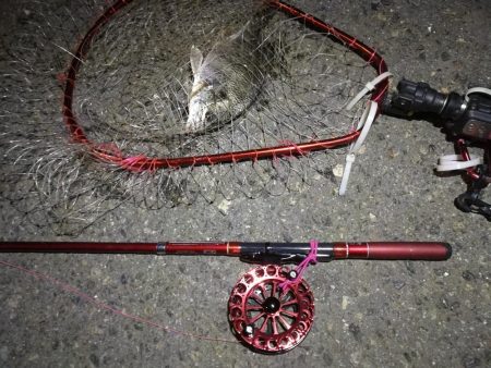 2021/10/02 南港ヘチ釣り