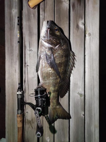 アジングしてたら…