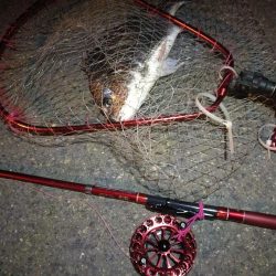 2021/10/14 南港ヘチ釣り