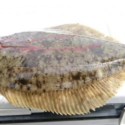 最後にドラマが