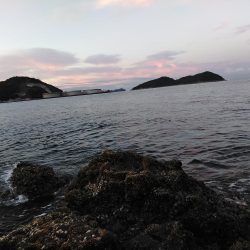 フカセ‥最高ですネ・・