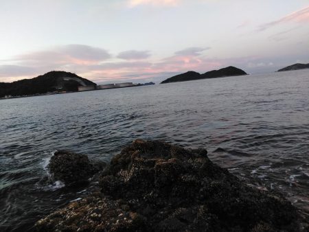 フカセ‥最高ですネ・・