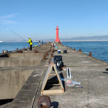 渋い中のワンチャンでメジロ。