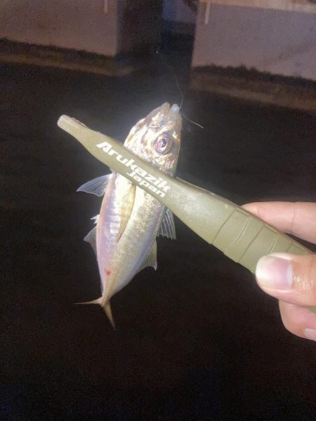 ボトムのアジングが釣れるのはなぜ？