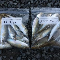 時合を狙い撃ち