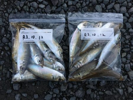 時合を狙い撃ち