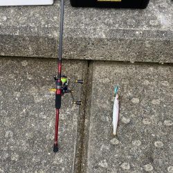 ダイソージグでULSJ!