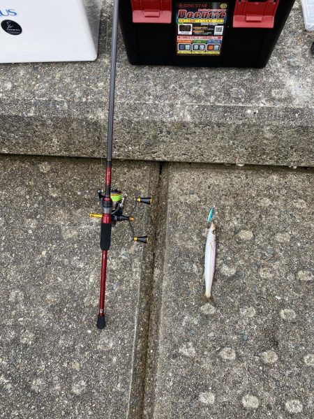 ダイソージグでULSJ!