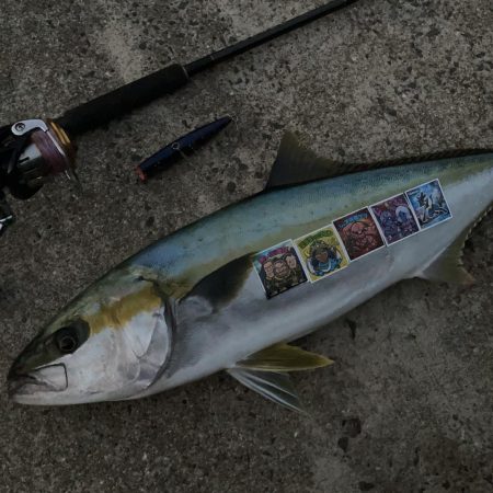 A.P.Pフィッtシングガイドサービス　久しぶりの夕マズメの釣行にて、ヒラマサRIDEONとなる