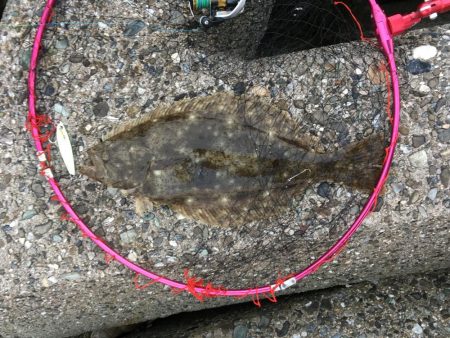 青物は不発だけど