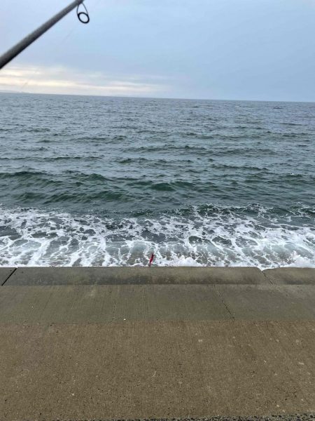 連日青物キャッチ!イカはダメでした