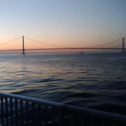 まだケンサキいました！！