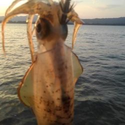 何があったんだ⁉️