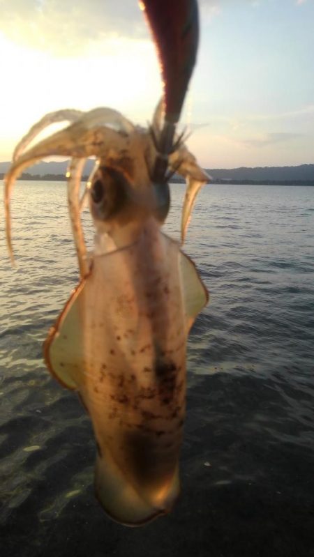 何があったんだ⁉️