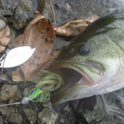 風がありました