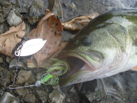 風がありました