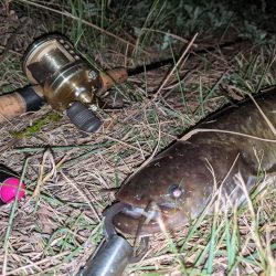 減水した川と新しいルアー