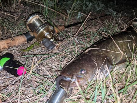 減水した川と新しいルアー
