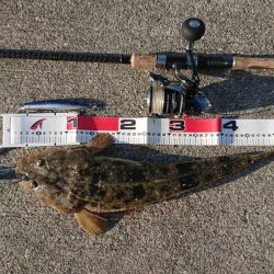 青物調査のハズが？(Vol 2)