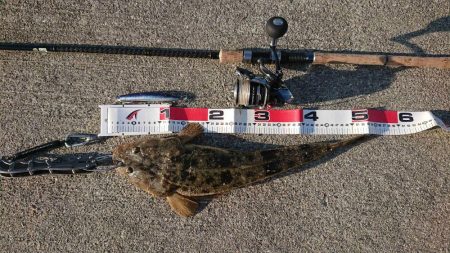 青物調査のハズが？(Vol 2)