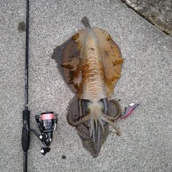 秋のキロアップ