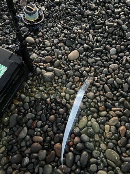 新しく買ったタックルの魂入れに