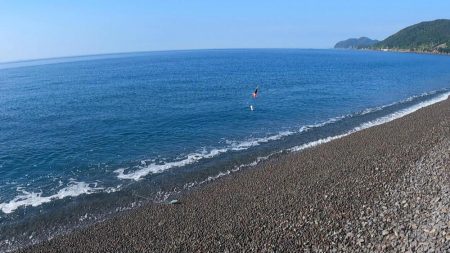 カツオが順調に釣れています