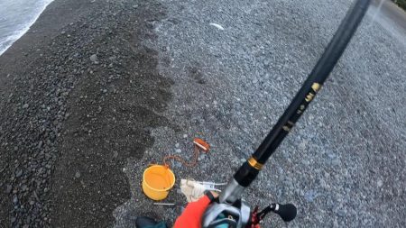 初獲物が本スマ（ヤイトカツオ）となりました。